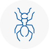 Ant Removals In Whitefield