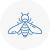 Bee Nest Removal Whitefield