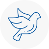 Bird Prevention Whitefield