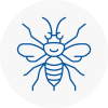 Whitefield Hornet Nest Removals