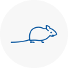 Mice Exterminators In Whitefield
