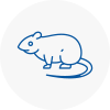 Rat Control Whitefield
